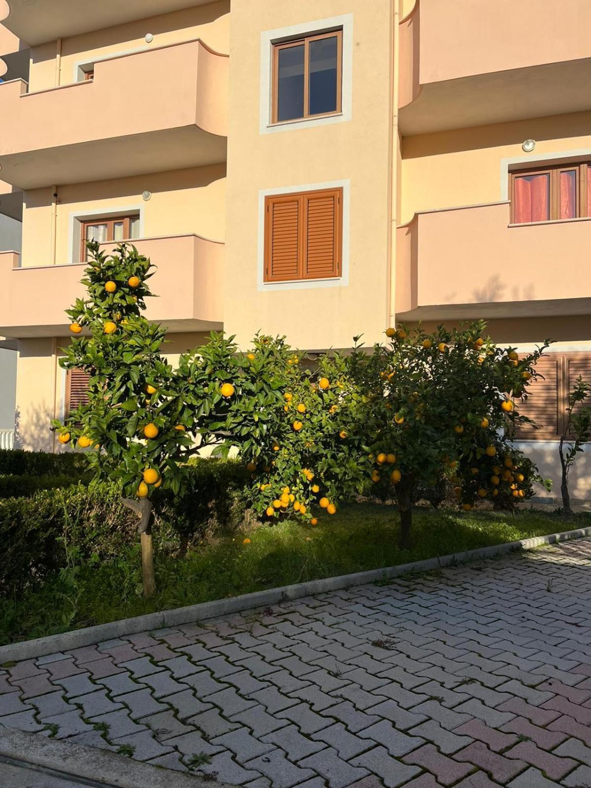 Villa Dei Limoni Shkallnur Exterior photo